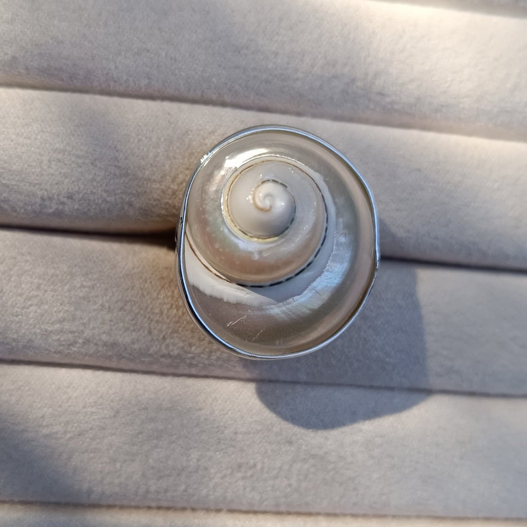 Inel Shell